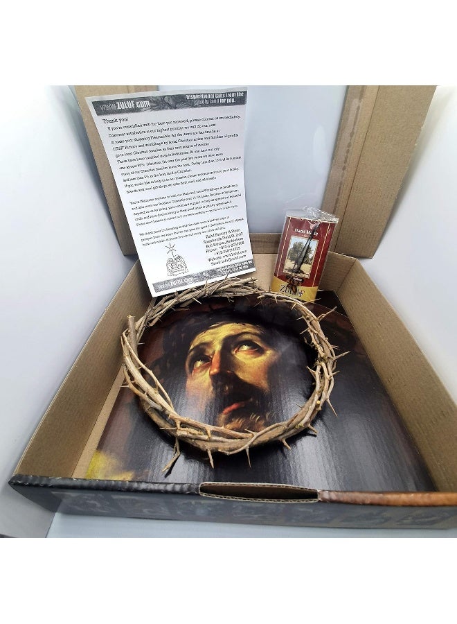 Zuluf Jerusalem Authentic Biblical Lifesize Real Crown of Thorns with Box & Certificate - Image 4